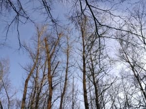 Обзор Windows Phone 8X by HTC