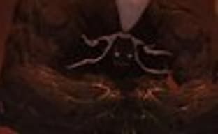 Трейлер Final Fantasy XIV: A Realm Reborn для PS4