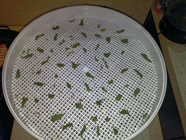 Электросушилка для продуктов Ротор «Дива» СШ-007