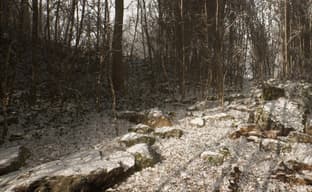 Приложение Abandoned для PS5 включает только ролик продолжительностью 5 секунд