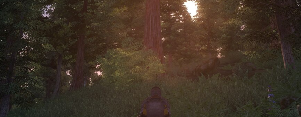 Похоже, стал известен размер файлов ремастера The Elder Scrolls 4 Oblivion. Геймеры считают, что нашли доказательства существования игры в Steam