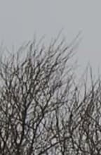 Видеосъемка фотоаппаратом Olympus OM-D E-M5 Mark II