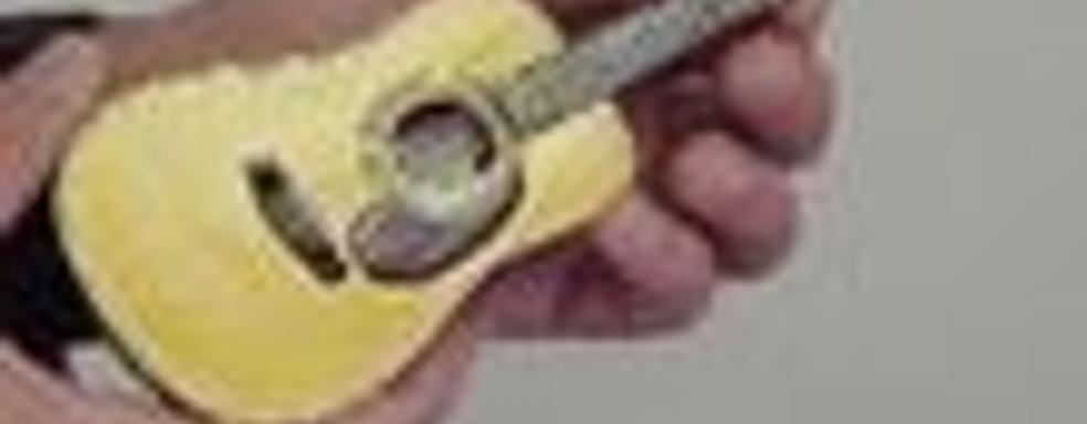 Guitar Hero On Tour для DS