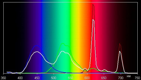 Spectrum