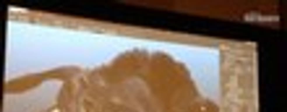 Демонстрация шерсти в The Witcher 3