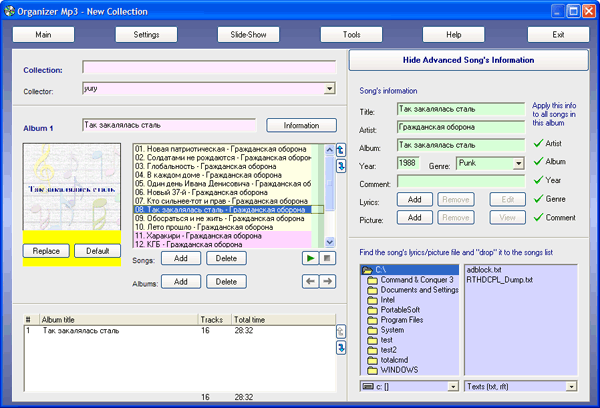 Рабочее окно Organizer Mp3