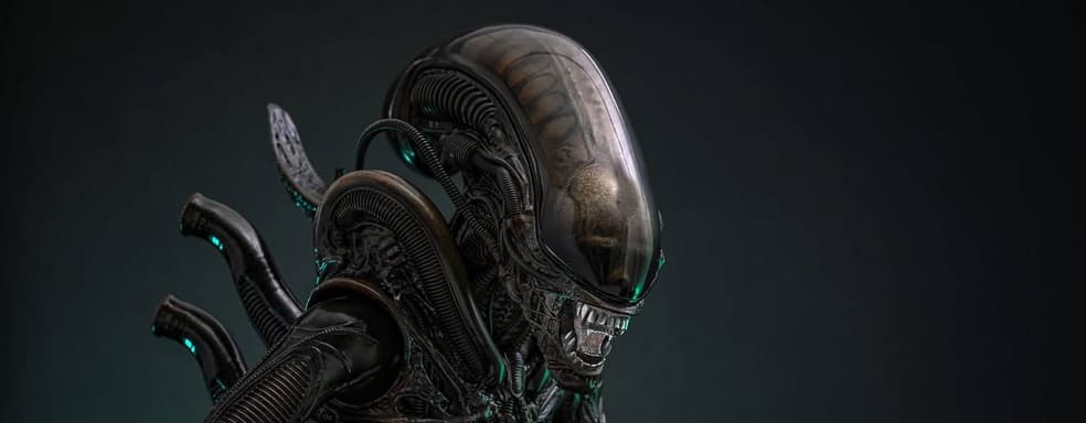В космосе никто не услышит твой крик: Hot Toys показала новую фигурку ксеноморфа из фильма «Чужой»